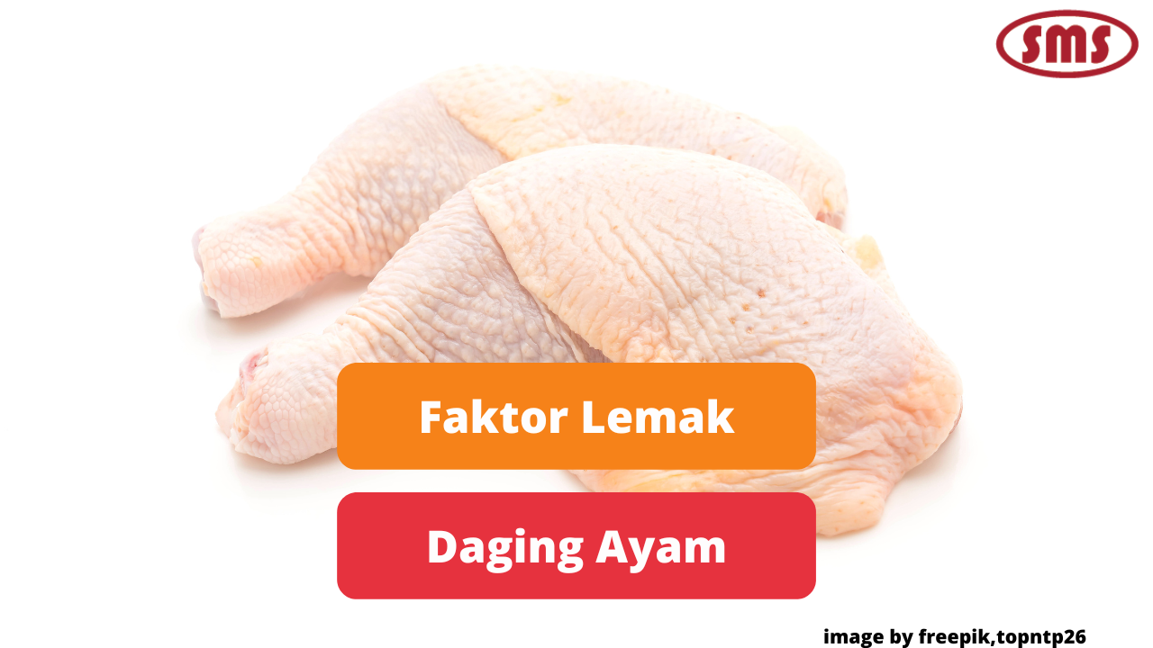 Faktor - Faktor Yang Dapat Mempengaruhi Lemak Daging Ayam